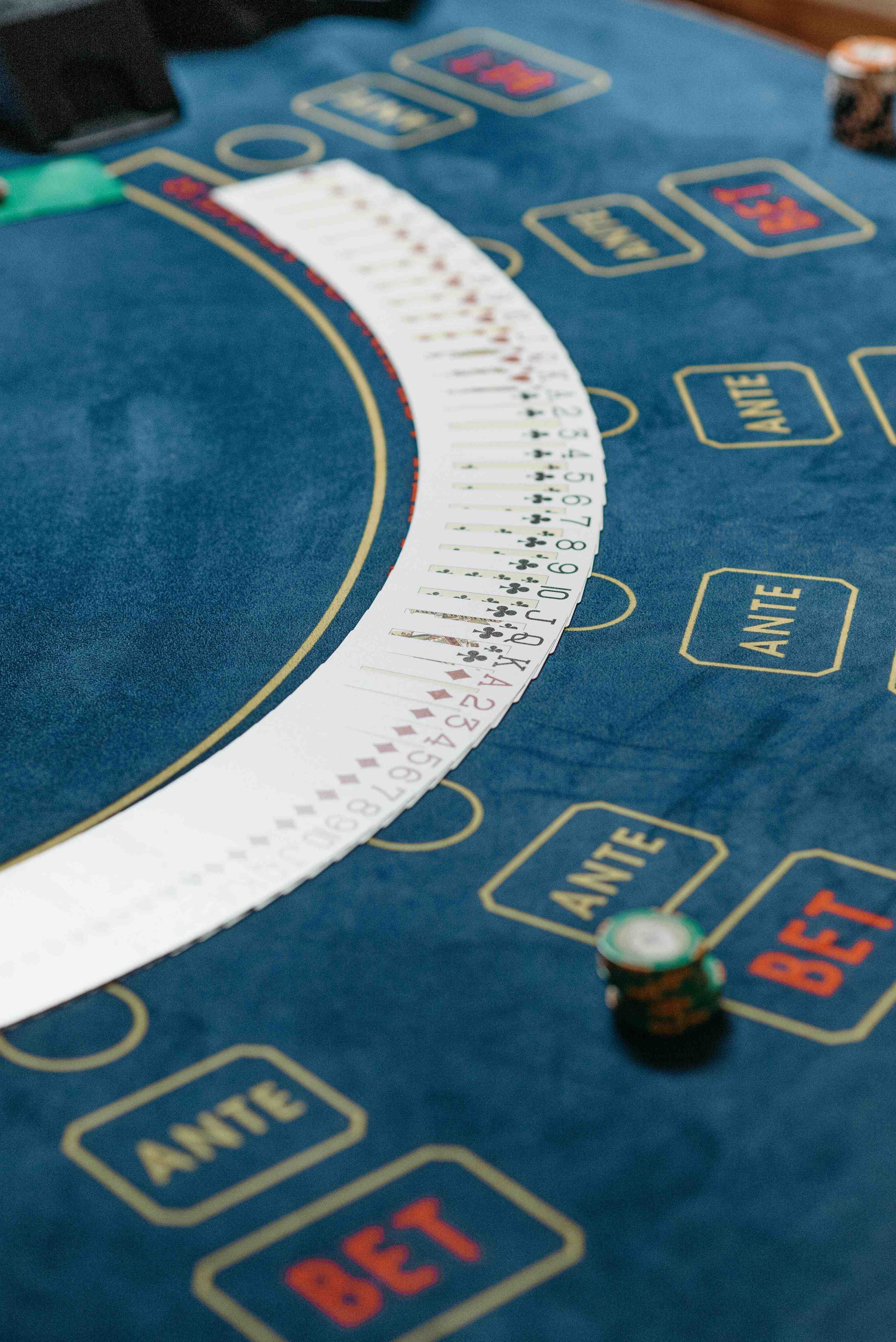 xvg8